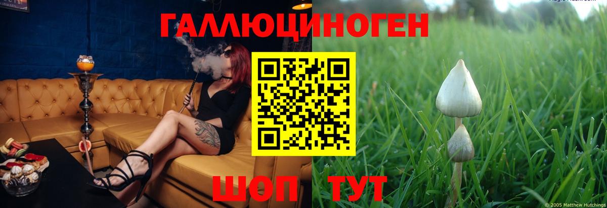 Галлюциногенные грибы прущие грибы Пенза